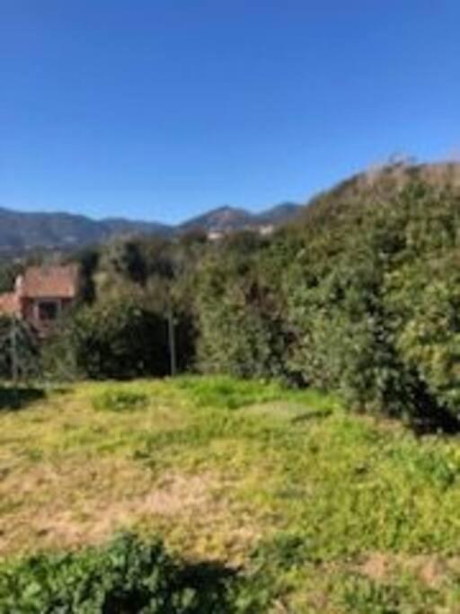 Villa En Corse Du Sud Entre Mer Et Montagne Peri Luaran gambar